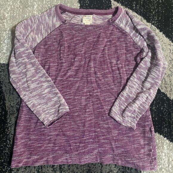Champion Women Size L 2 Tone Heathered Purple Crewneck Sweatshirt Top Shirt - Picture 1 of 2